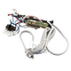 Rowenta RS-DW0280 Power Cord with Circuit Board (Will not fit Series A or Series B units.)